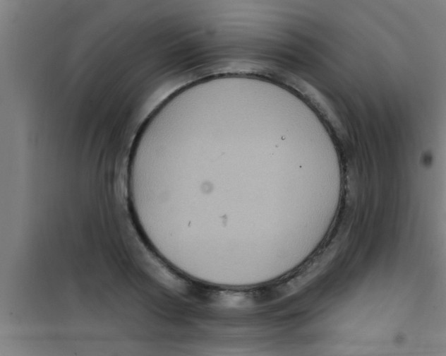 X0000100390794200807031948