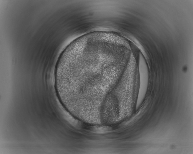 X0000100390795200807031948