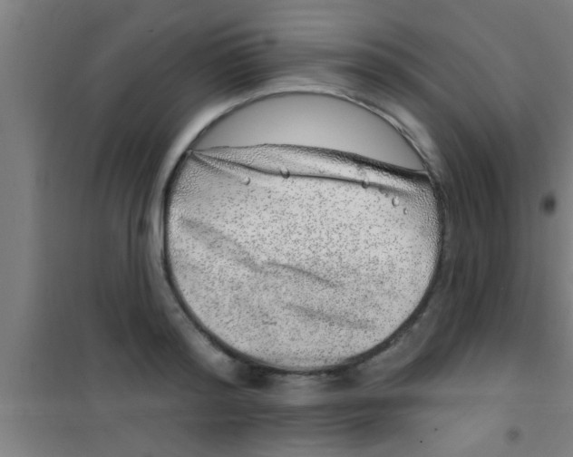 X0000100390796200807031948