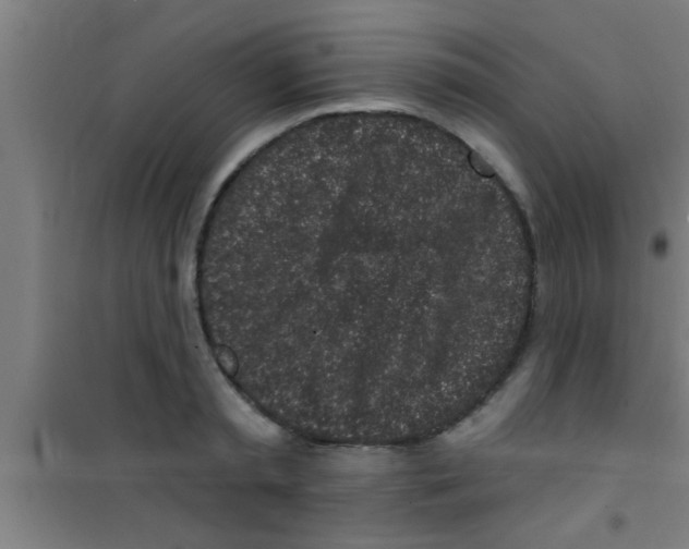 X0000100390797200807031948