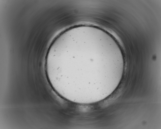 X0000100390799200807031948