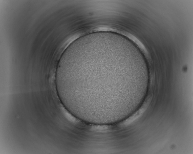 X0000100390801200807031948