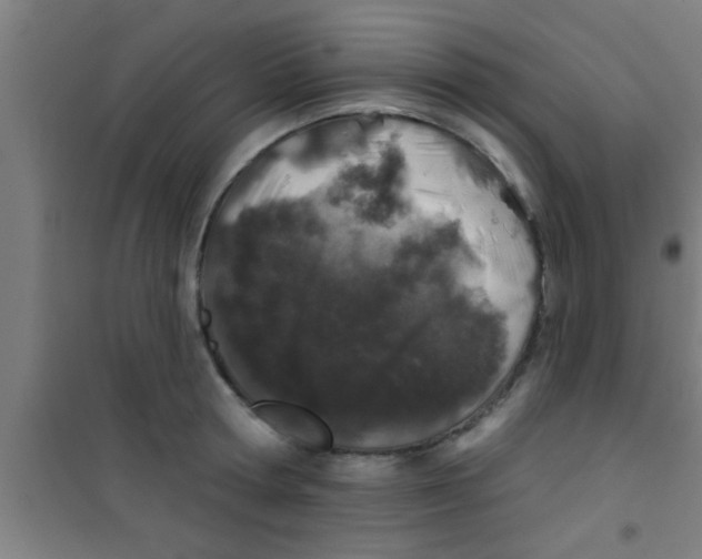 X0000100390802200807031948