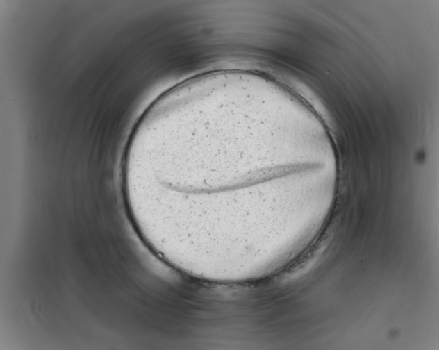 X0000100390803200807031948