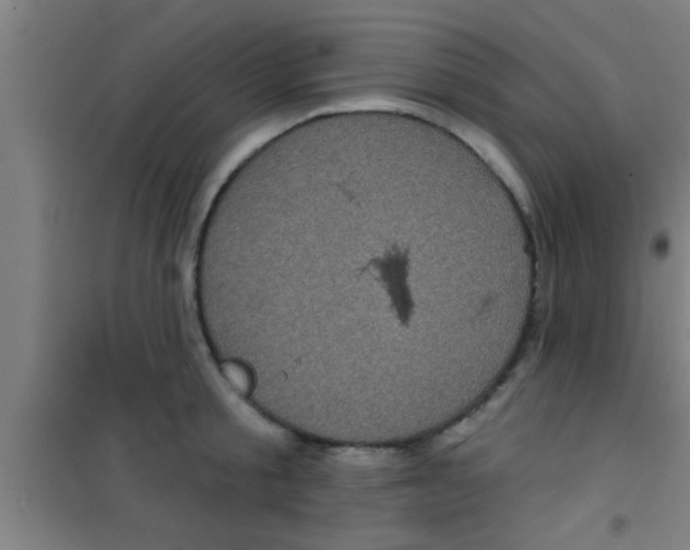 X0000100390805200807031948