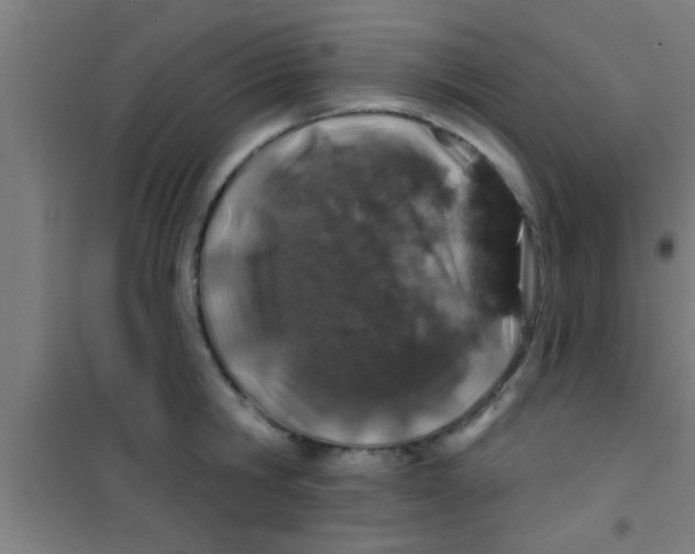 X0000100390806200807031948