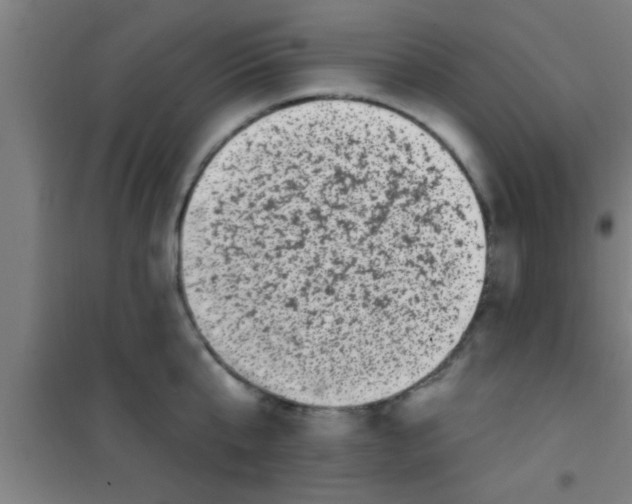 X0000100390807200807031948