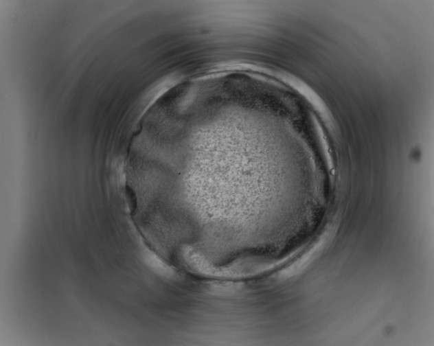 X0000100390809200807031948