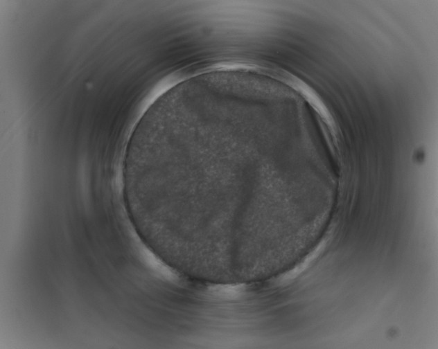 X0000100390810200807031948