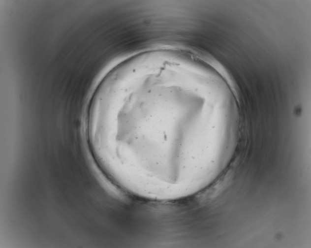 X0000100390811200807031948