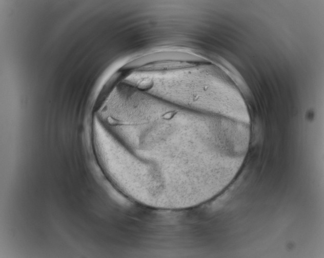 X0000100390812200807031948