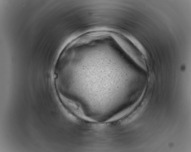 X0000100390813200807031948