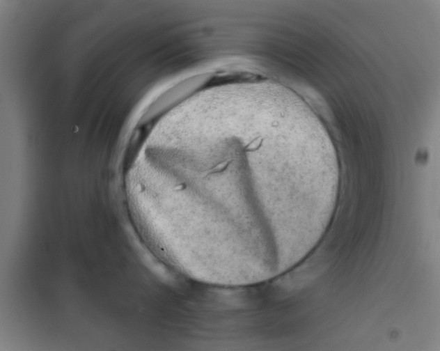 X0000100390816200807031948