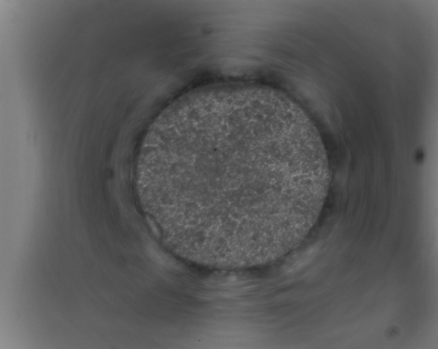 X0000100390817200807031947