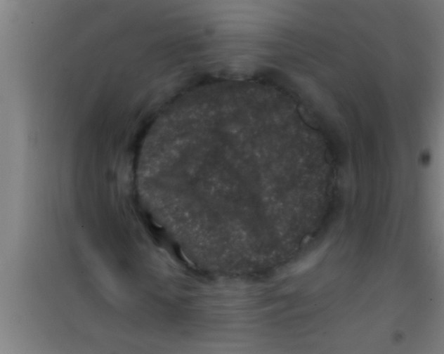 X0000100390818200807031947