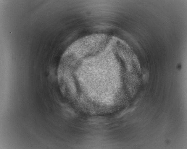 X0000100390819200807031947