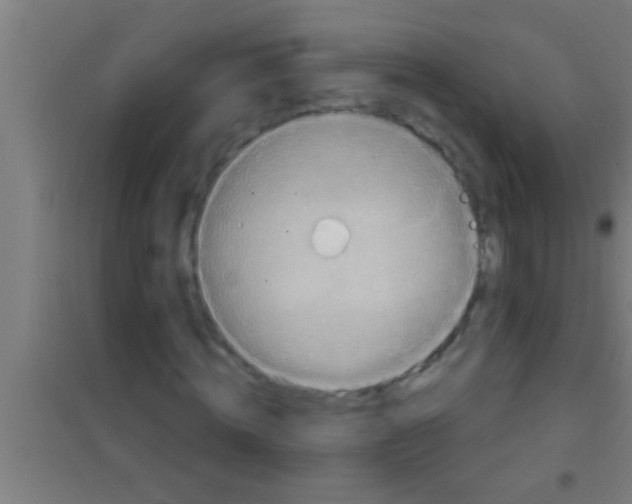 X0000100390820200807031947