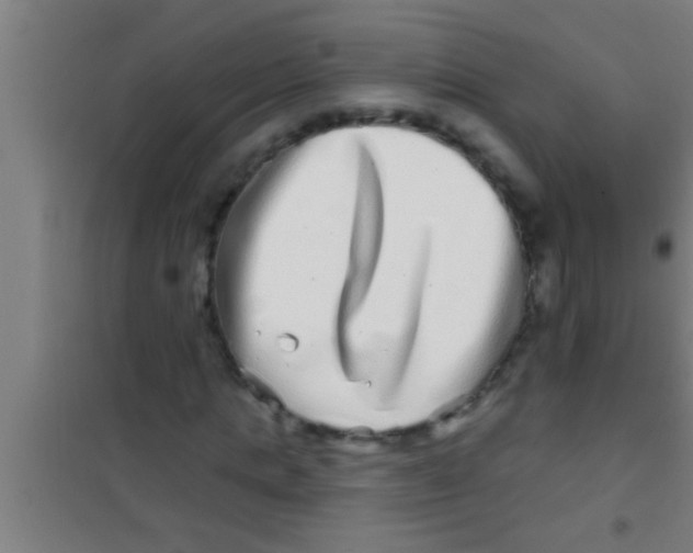 X0000100390821200807031947