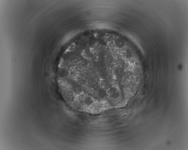 X0000100390823200807031947