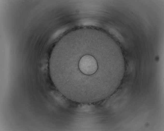 X0000100390824200807031947