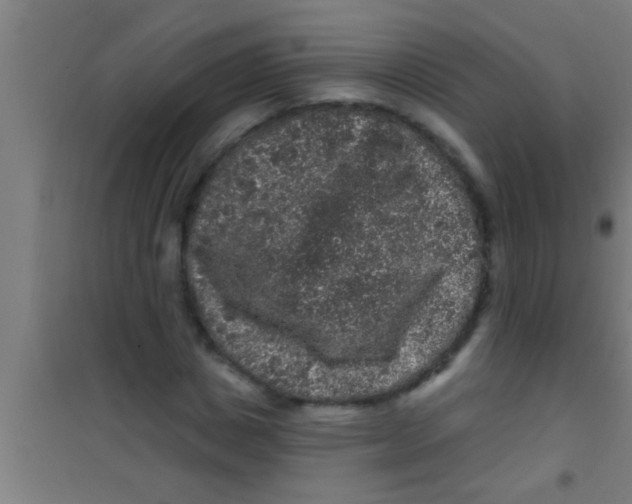 X0000100390825200807031947