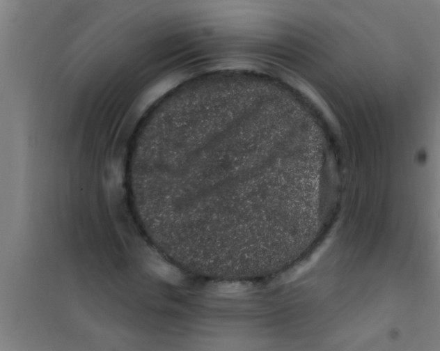 X0000100390826200807031947