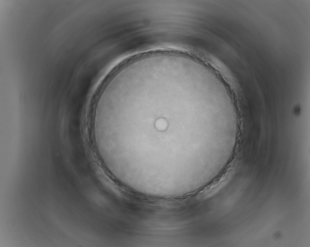 X0000100390828200807031947