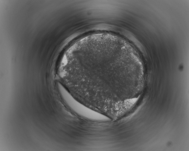 X0000100390829200807031947