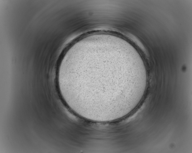 X0000100390831200807031947