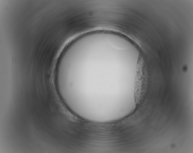 X0000100390832200807031947