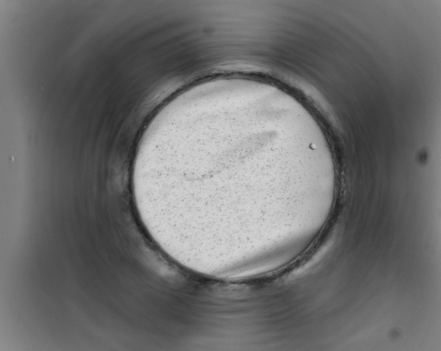 X0000100390833200807031947