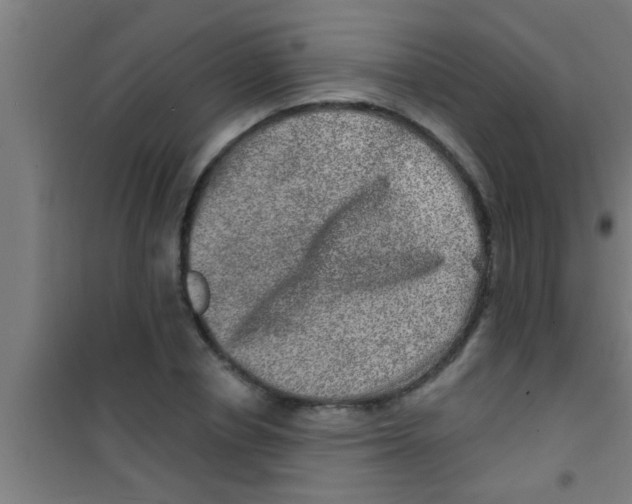 X0000100390834200807031947