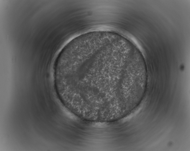 X0000100390835200807031947