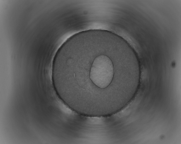 X0000100390836200807031947