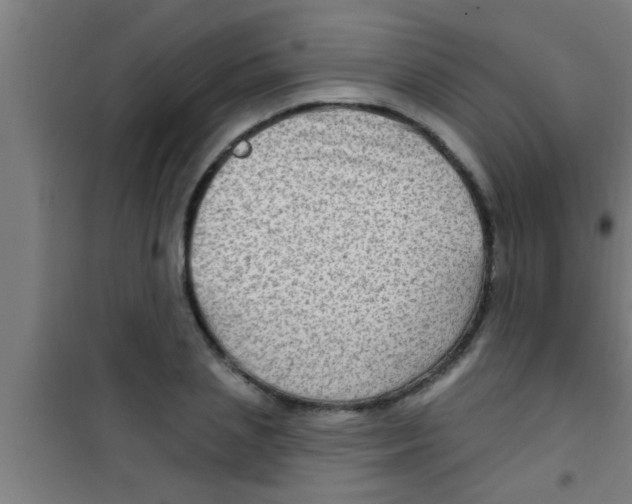 X0000100390837200807031947