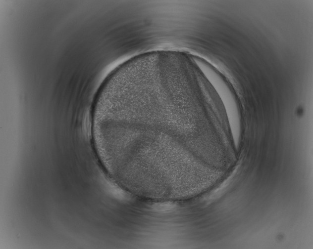 X0000100390838200807031947