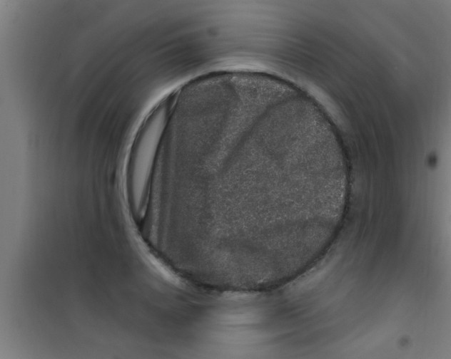 X0000100390840200807031947