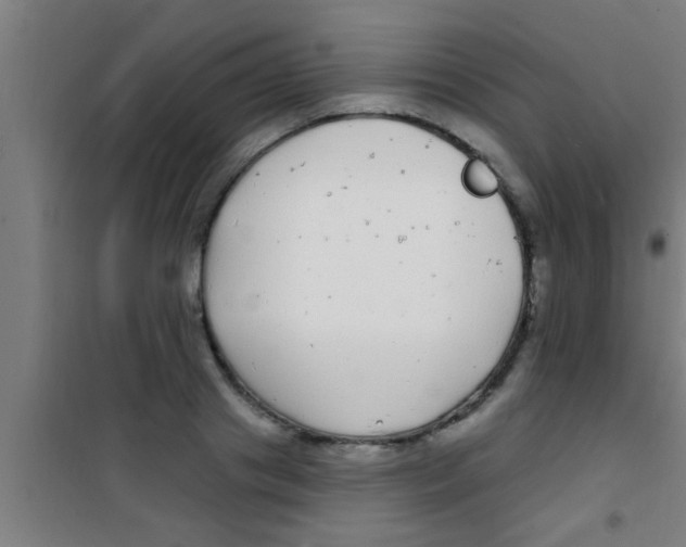 X0000100390841200807031947