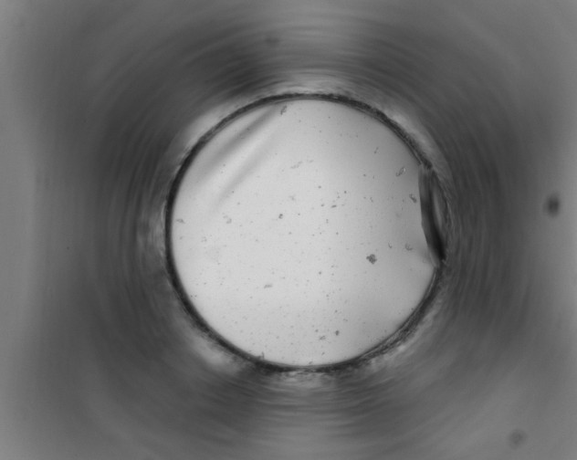 X0000100390842200807031947