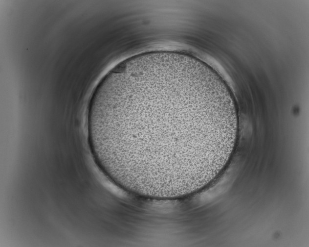 X0000100390843200807031947