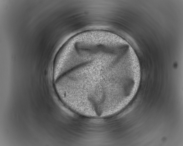 X0000100390844200807031947