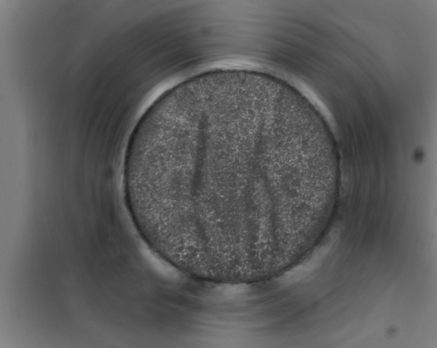 X0000100390845200807031947