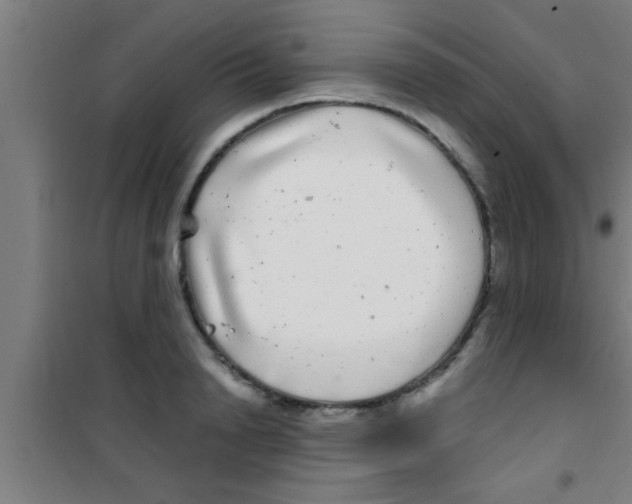 X0000100390846200807031947