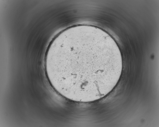 X0000100390848200807031947