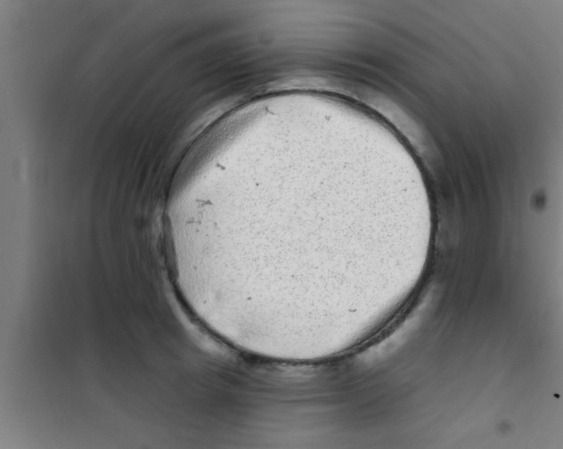 X0000100390849200807031947