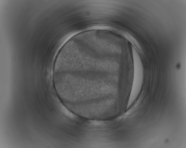 X0000100390852200807031947