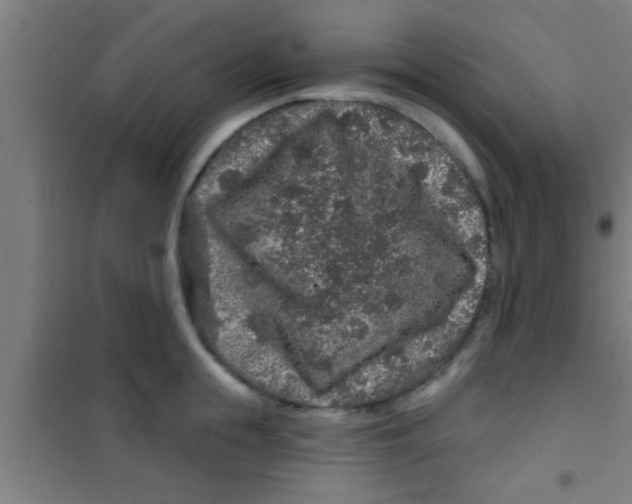 X0000100390855200807031947