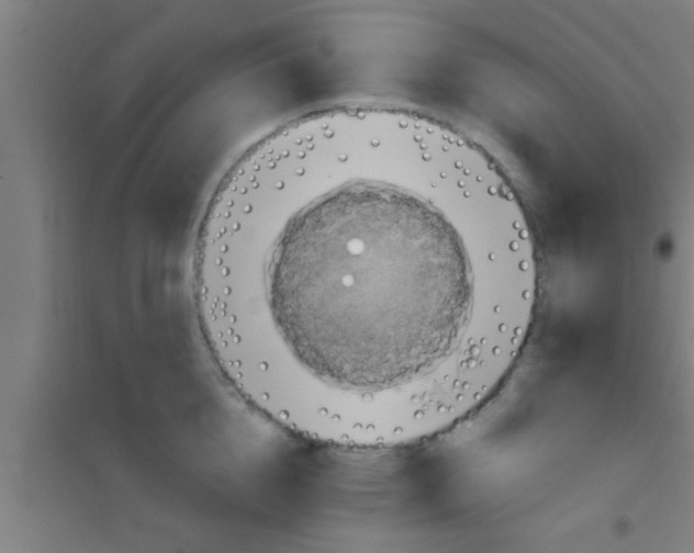 X0000100390856200807031947