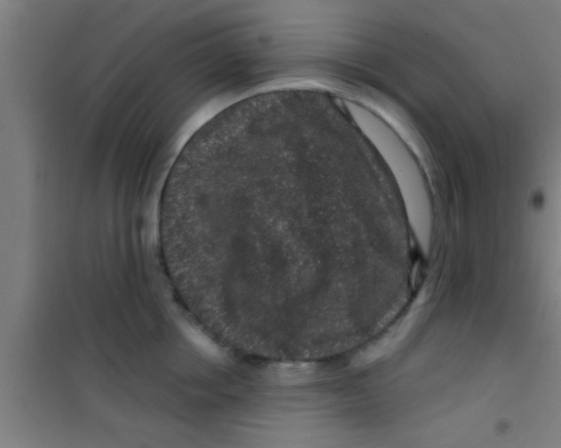 X0000100390858200807031947