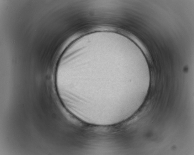 X0000100390861200807031948